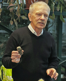 Семенов Дмитрий Валерианович